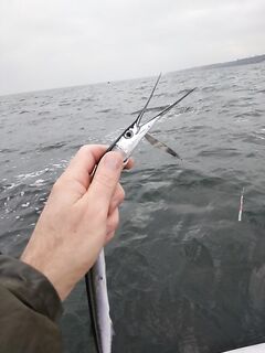 Осенний темп: ловим потихоньку на железо — без суеты, но стабильно