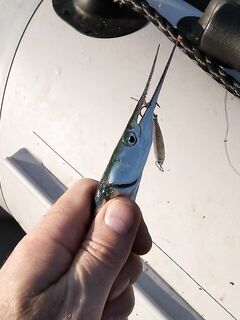 Святой Николай и скидки: блёсны, пилькеры и стримеры с доставкой по миру