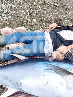 Татарский пролив и тунцовый сезон Сахалина: холмский трофей 112 кг и «мелочь» 50+