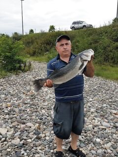 Батуми, лаврак 7 кг с берега на воблер: Средиземке до таких частот проще