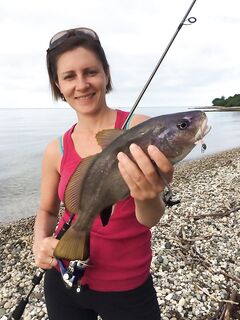 Новый Афон, точка ловли определена