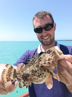 Абхазия предупреждает: морской дракончик, укол и скорая — будьте внимательны