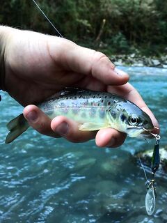 Абхазия осенью: Бзыбь, мечта о дикой форели и день рождения в походе