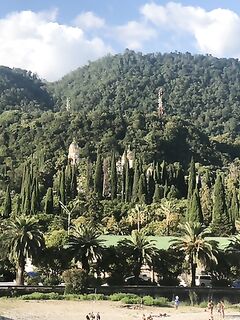 Новый Афон до 23 августа: ищу компанию на рокфишинг и, возможно, форель