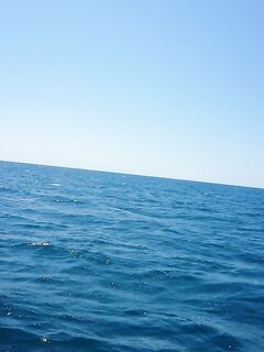 Крабы под ногами, морская собачка и звёздочёт — аккуратнее с ядовитым