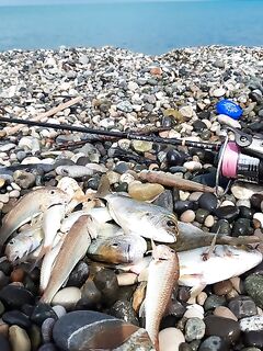 Утро до грозы: стандартный набор, потом волна и вязание оснасток в номере