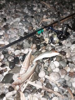 Закат с семьёй: отводной и зелёный булер — рыбалка вторым планом