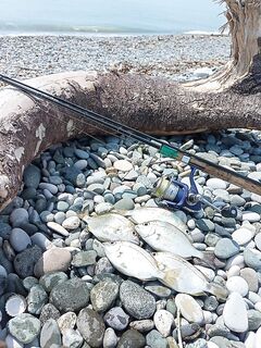 Пасмурный полдень: 12:00–13:30 — пяток карасиков и редкие поклёвки