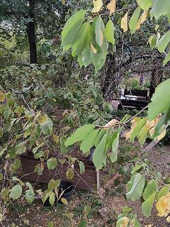 После шторма клевать будет лучше — держим снасти готовыми