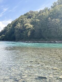 Пицунда, Бзыбь и головль: 15 шт. с одной точки, морская часть — зацепы и пусто