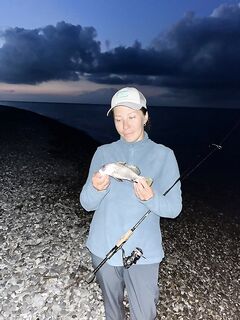 Скорпена и ласкирь стабильно; горбыль мельче, на реке форель немного