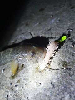 Сухум, ночной мдж до 5 г: пассивки, буллеры и одинарники — эмоций максимум