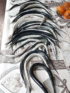 Пицунда, начало ноября 2023: короткая заметка по локации и сезону