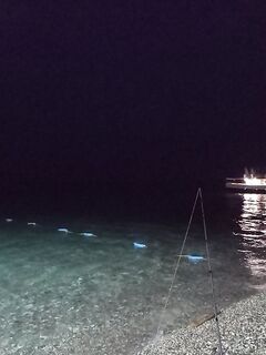 Пицунда, Морвокзал: «та самая» сошла, итого дюжина ласкирей и барабулька на отводной