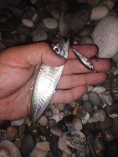 Дополняю заметки по снастям и точкам: правки в список — готово