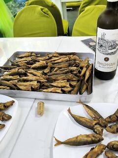 Пицунда, катамаран и кафе: ставрида на самодур, селёдка бонусом — жарили тут же