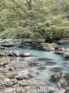 Абхазия после ливней: ждём, пока река отстоится, рыбалка продолжится