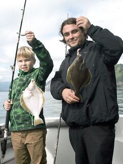 Авачинская бухта и океан: колонии птиц, камбала и разноцветный прилов