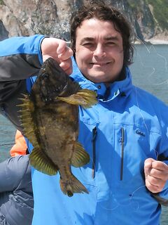 Русская бухта, Тихий океан: окунь-капитан, терпуг и лунь