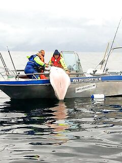 Трофейная ловля для отдыха: отсечь мелочь и ловить свой рекорд