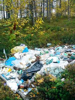 Винча: дикая природа — не каждый поедет на своей машине