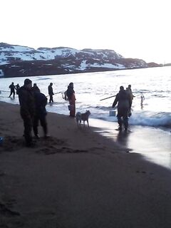 Черпают рыбу — работы много, толку мало: не превращайте море в проходной двор