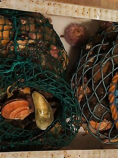 Еще немного фото с выезда: уловы, шторм и разделка — всё по порядку