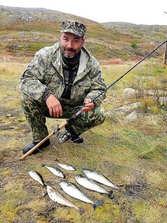 Сайда клюет весело: по ощущениям — как жерех, динамика и проводка схожи