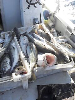 База «45 причал», мороз и штампы: у Кильдина 250–300 кг за день на четверых