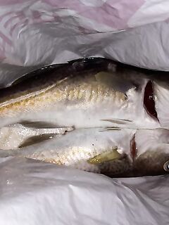 За маяком колбасило, напарник молился — на ПВХ вернулись с одной треской