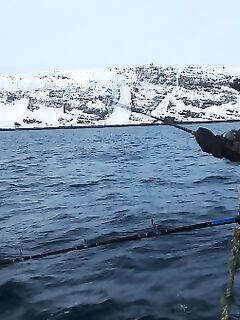 Без проводника как слепые котята: почему местный гид экономит ваши дни