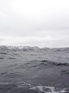 Немного фото по Териберке: уловы, точки, погодные окна — как было на месте