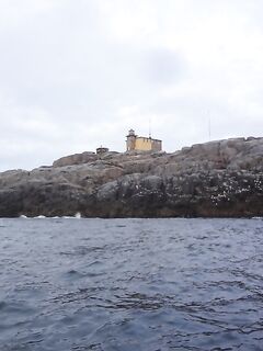 Ночная вылазка от Териберки: Подпахта, устье Вороньей и встреча с морскими зайцами