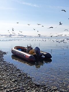 В Мурманске две недели делать нечего, пока на воду пускают только местных