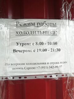 Морозилка в порту на складах: заморозка за деньги, цена была около 1000 р