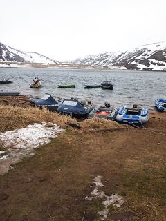По местному «терибасу» и в авто-чаты: где ловили, как погода — дай ориентиры