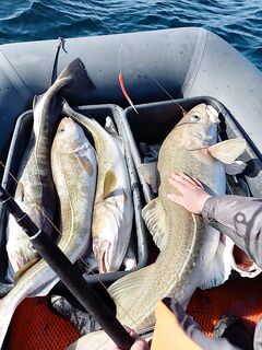 Первый выезд 13 апреля: 12 часов укачало; дальше таблетки, ловили у маяка