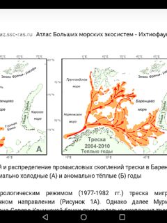 Подтверждение найдено — сверили по карте и локальным данным