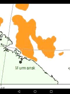 Тёплый год — другая динамика: склейки по срокам и зонам сдвигаются