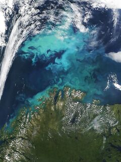 Гольфстрим до нашей баренцухи не дотягивается; на скрей влияет, на местную — слабее