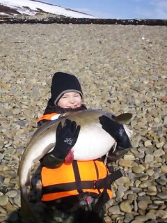 Парковка у гостей: рыбная фабрика, «Териберка-Тур», или оставить авто в Росляково