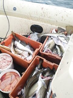 Пауза в ленте — концентрируемся на прогнозе и окнах для выхода