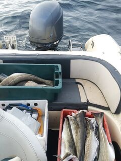 Это только середина выезда — держим темп и запас по топливу