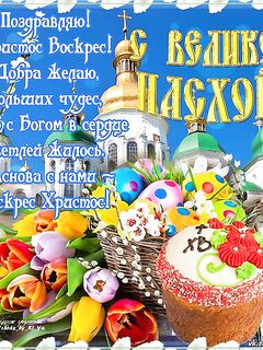 Снег с дождем — переждать пару дней; на берегу жить плюс: печеньки, кости размять