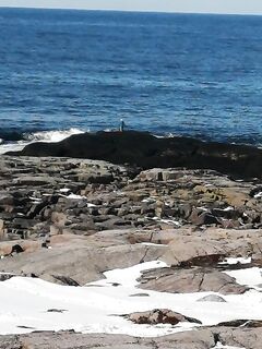 Погода налаживается, завтра возможен выход; дорога открыта, котики купаются