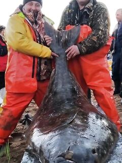 Трофей 76 кг вчера: «лотерейный билет» зашёл — молодцы, команда!