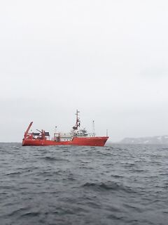 Судно на проходе 40–70 м: давленая мойва — возможно, лов прямо по ходу