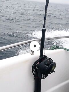 Balzer 1200 гр и Daiwa 1000, плетня в комплекте: три сезона — всё окей