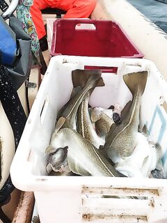 Вчера погода вылилась: окно поймали, море дало выйти и вернуться спокойно