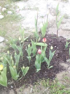 Укромный уголок Териберки: иногда нужны тишина, чай и короткая пауза от шторма